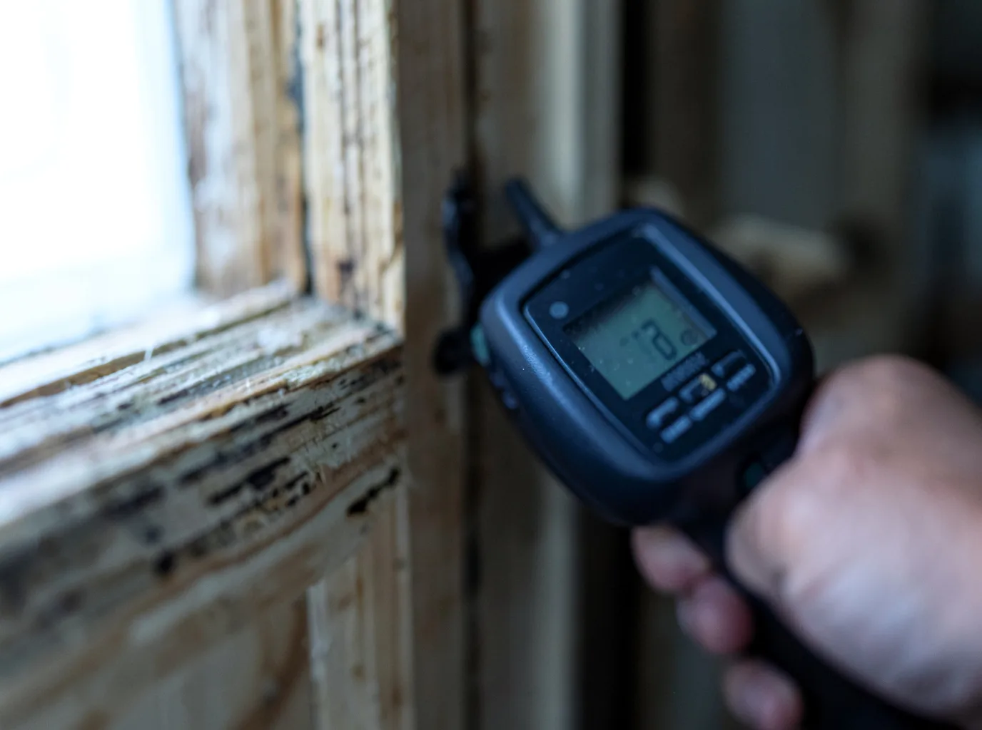Commercial Water Damage Restoration in Danvers, MN